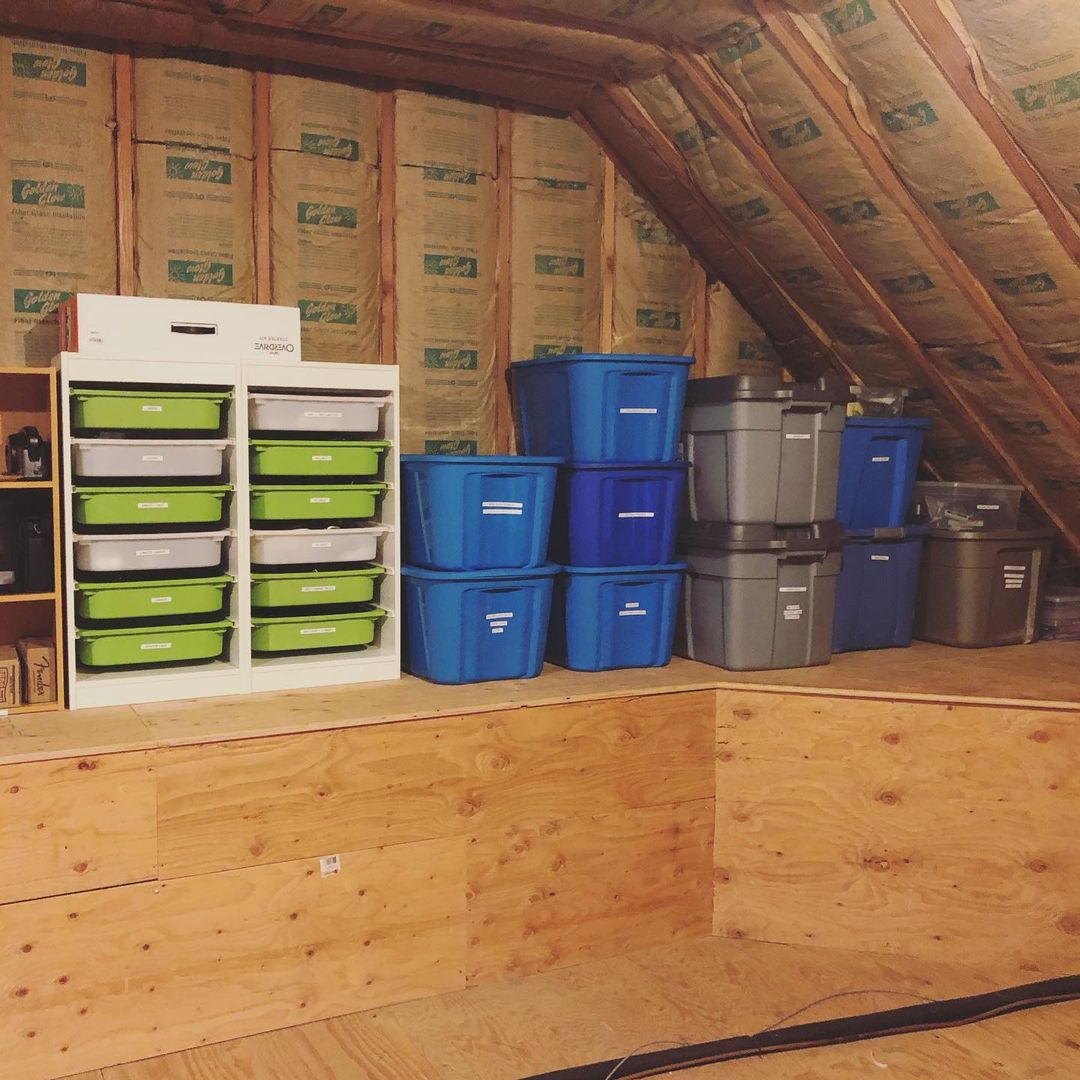 How to Organize Your Attic