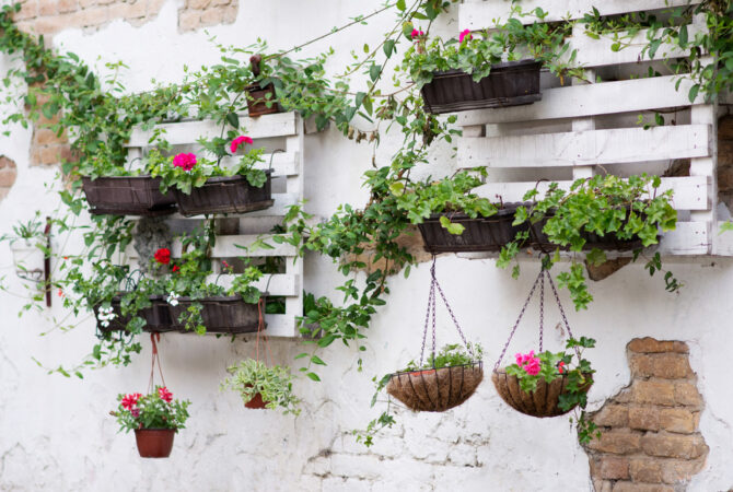 Plant boxes and flower pots handing from white wooden crates on stone wall.