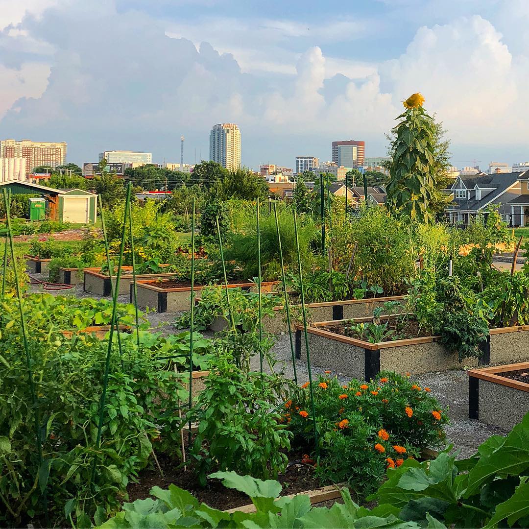 Easy Diy Ideas For Creating An Urban Garden
