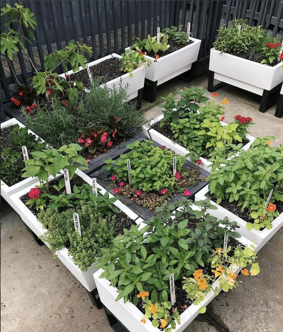 https://www.extraspace.com/blog/wp-content/uploads/2018/07/use-elevated-planters-urban-garden.jpg