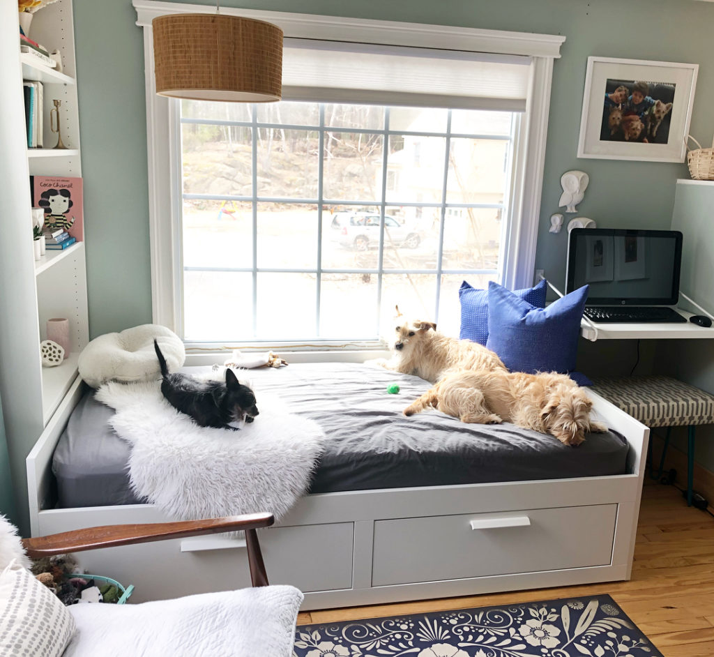 24 Ideas for Designing & Organizing a Dog Room | Extra Space Storage