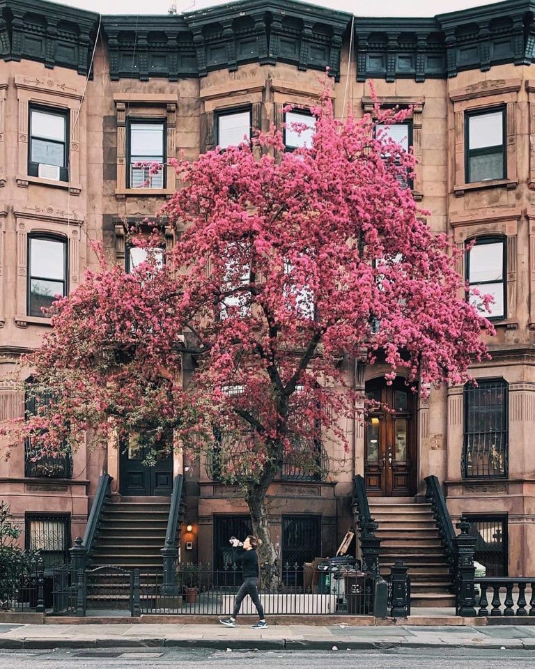 5 Best Neighborhoods in NYC for Families in 2024 | Extra Space Storage