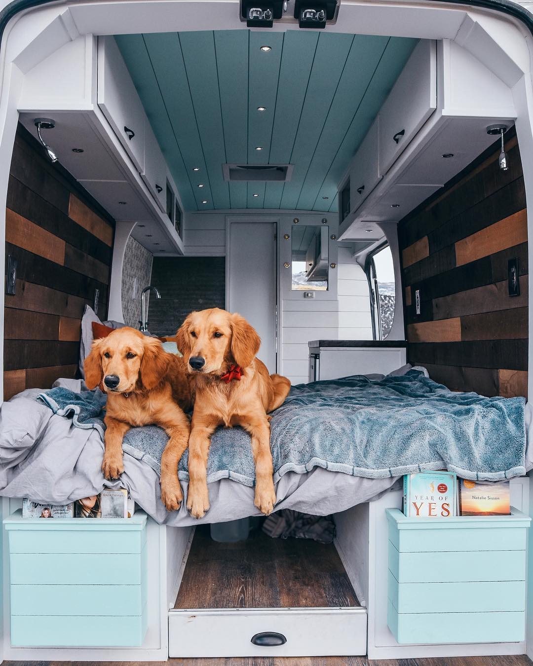 Van Life & Leaving Your Dogs Alone