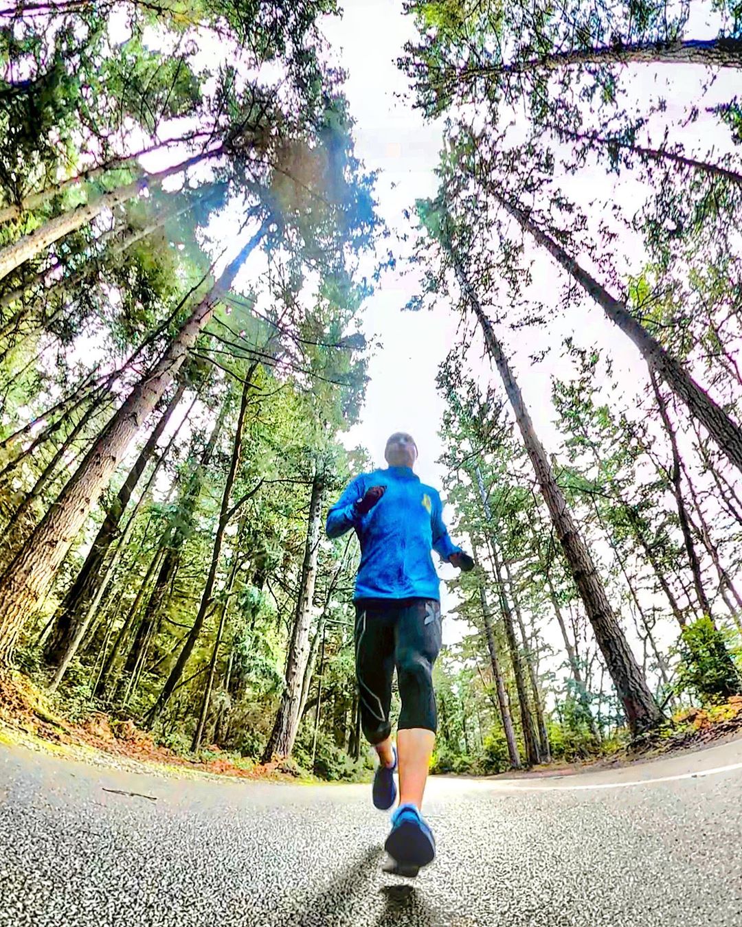 Un gars qui court sur un sentier à travers les arbres. Photo de l'utilisateur d'Instagram @driftingdentalduo