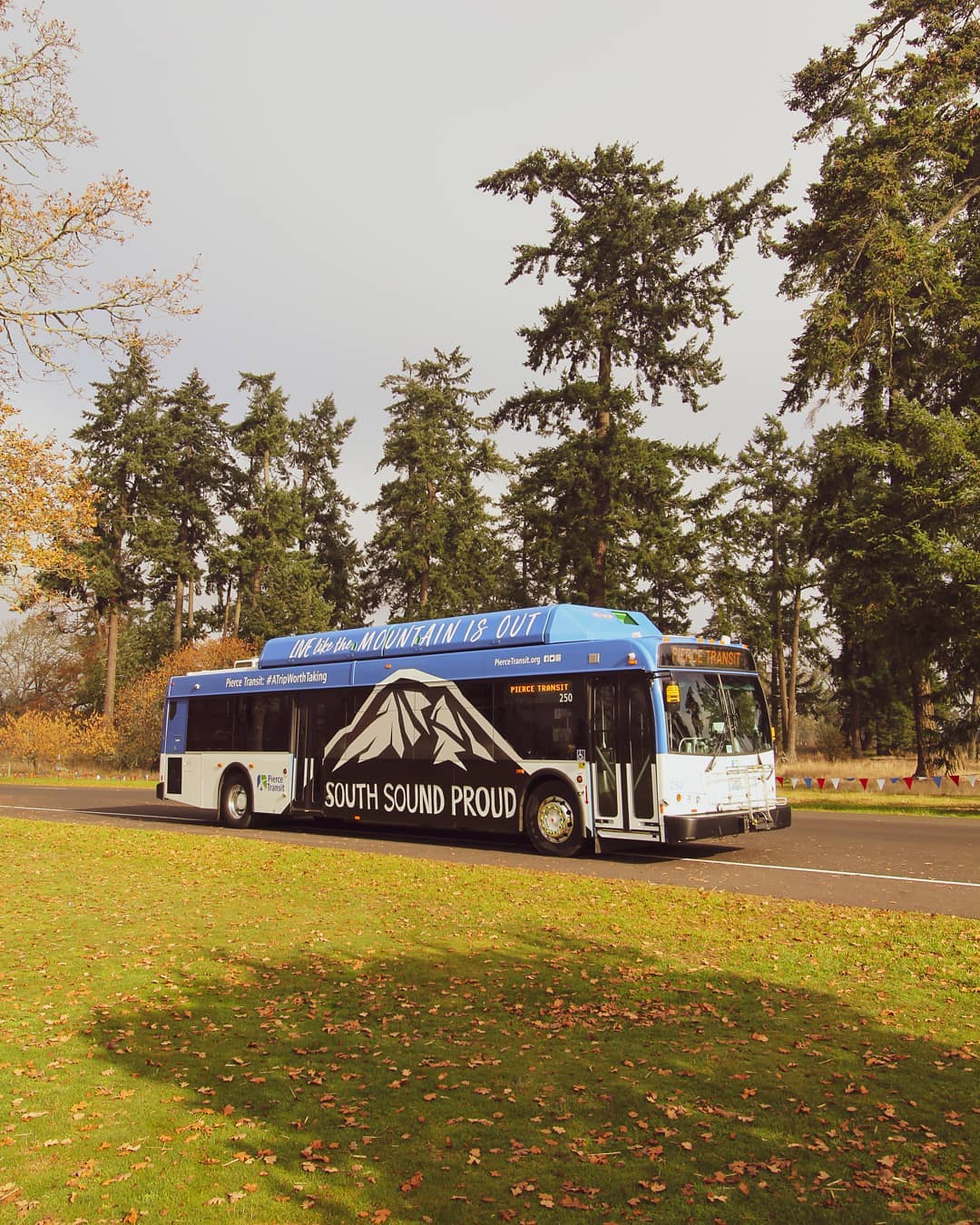 blå och svart busskörning med träd. Foto av Instagram-användare @ piercetransit