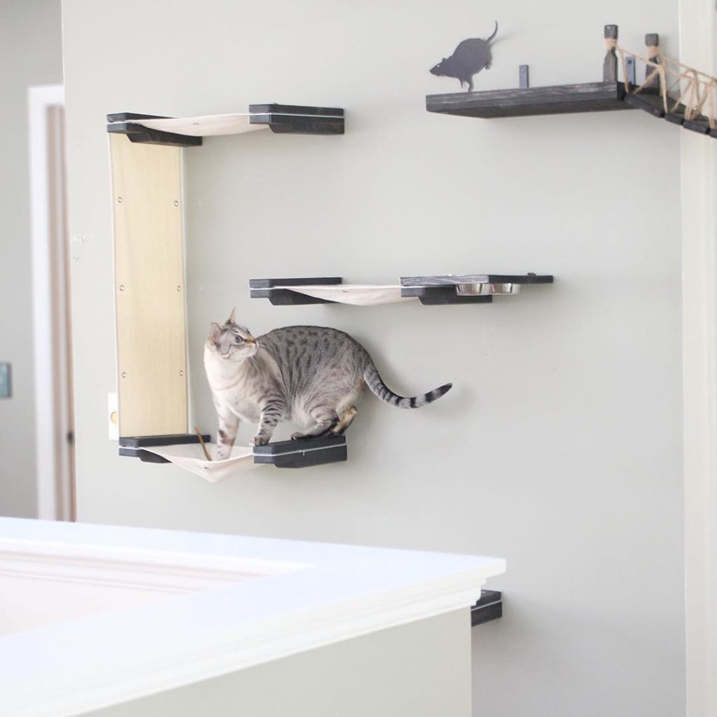 21 Ideas for Designing & Organizing a Cat Room | Extra Space Storage