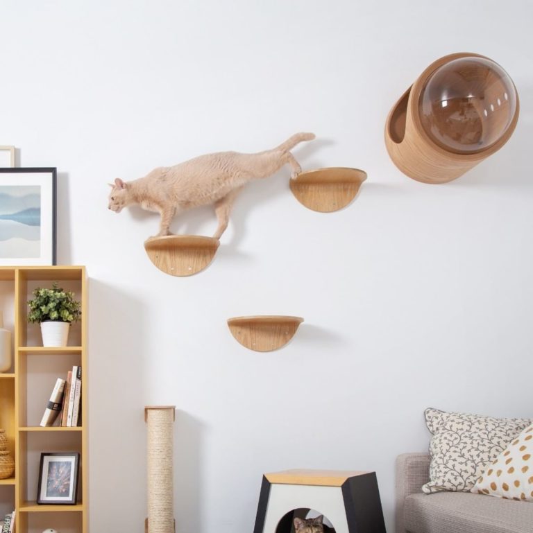 cat room design ideas