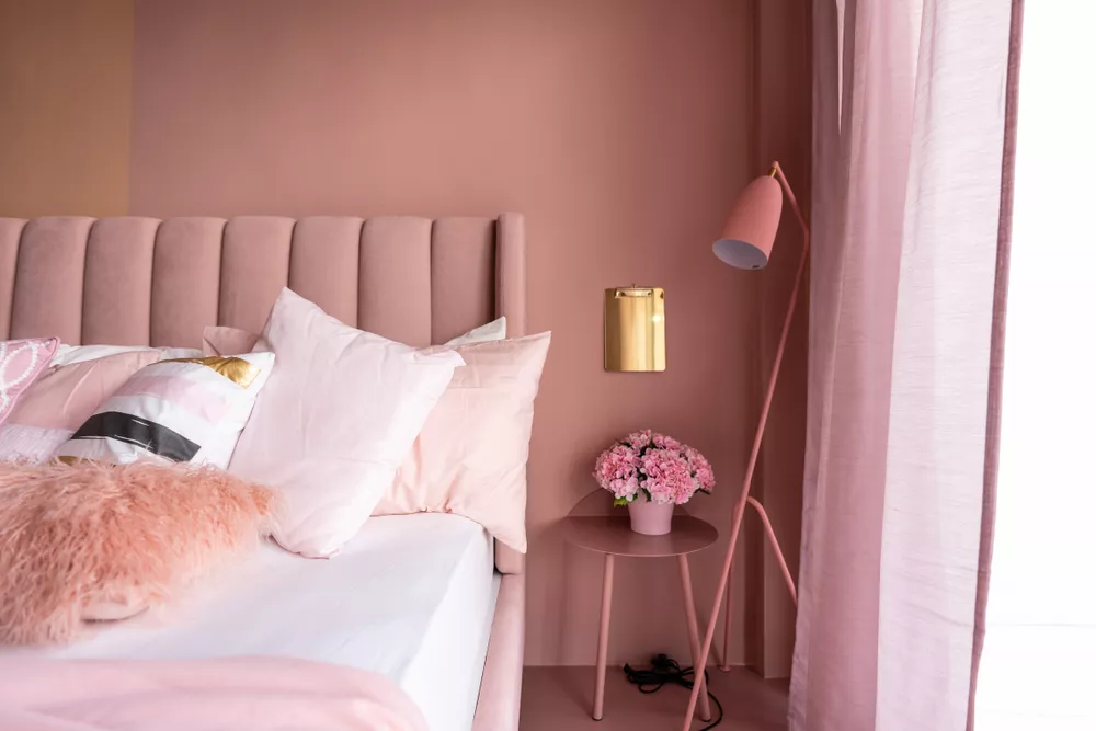 Would You: Pink Walls, Hunted Interior