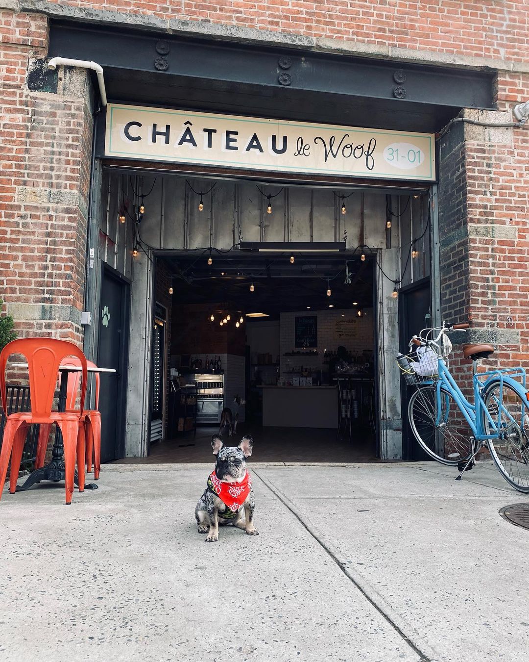 Dog sitting in front of a cafe in Queens Photo by instagram user @_officialoreo_