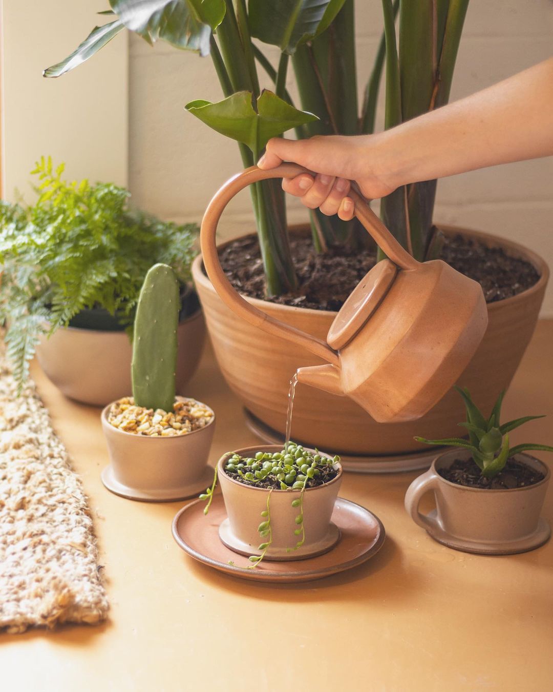 Your Guide to Pottery and Planters For Indoor Plants
