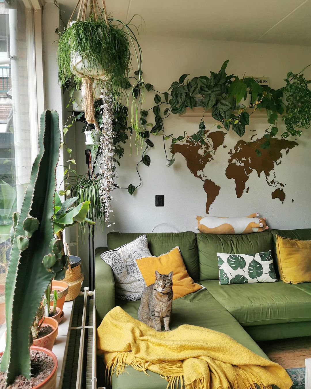 Living room featuring several trailing plants, succulants, and more, along with a cat. Photo by Instagram user @marty_thejunglelady.