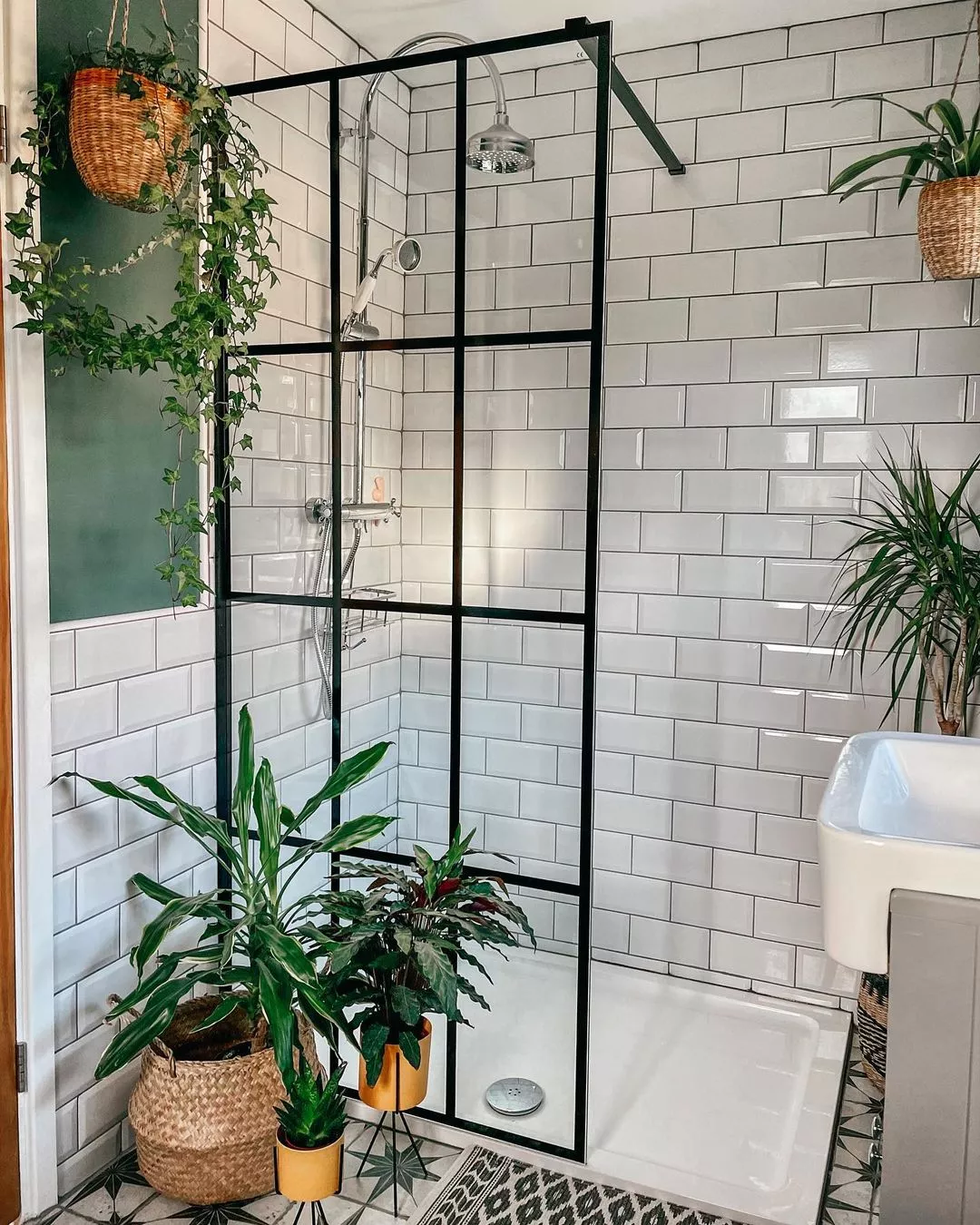 Just added this tall cabinet thingy in the bathroom, so naturally I had to  get a plant to top it off : r/houseplants