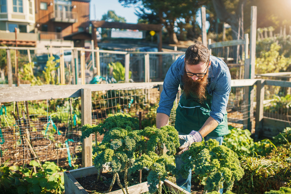 40 Backyard Vegetable Gardening Tips to Maximize Your Harvest