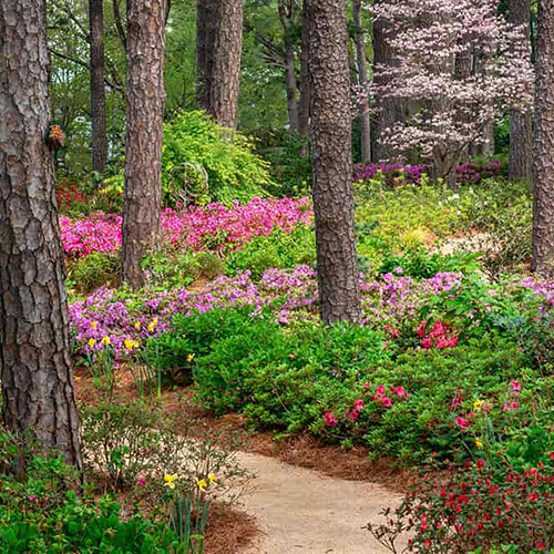 flower gardens Raleigh North Carolina